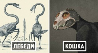 Уникальные и умозрительные взгляды на динозавров и других доисторических животных (14 фото)