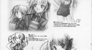 Fortune Arterial Chronicle (112 работ)