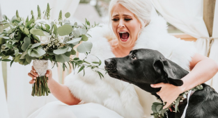 Свадебные фото с собакой произвели фурор в интернете! (14 фото)