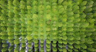 20 запаморочливих видів з висоти