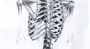 Learning to draw people. Skeleton (10 works)