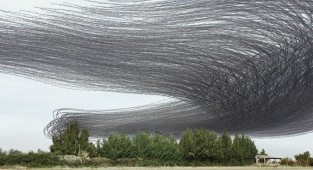 Фотограф показал, как в небе выглядят следы птиц (11 фото)