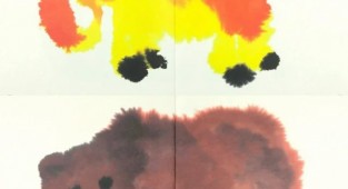 Wild Animals That Conquered the World: The Phenomenon of Rop van Mierlo (7 works)
