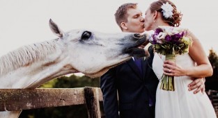 20 забавных свадебных фотографий со всего мира (20 фото)