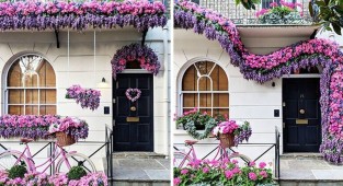 30 входных дверей, которые выглядят как декорации к фильму Уэса Андерсона (31 фото)