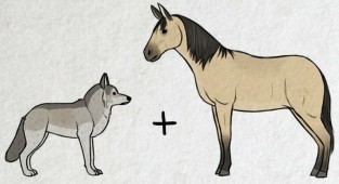 Волк + пухлый тролль: художник представил и нарисовал, как появились на свет разные породы собак (7 фото)