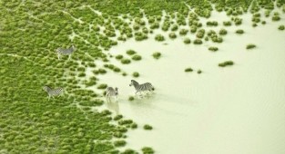The pristine beauty of Africa in amazing aerial photographs
