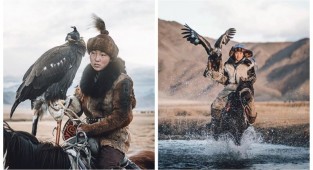 Удивительные фотографии соколиной охоты в Монголии (11 фото)