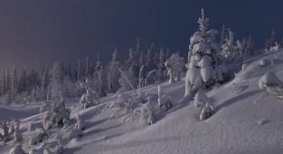 Зимние пейзажи от Максима Евдокимова (20 фото)