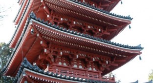 Pagodas of Japan (272 photos)