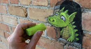The artist populates the city with unknown animals (31 photos)