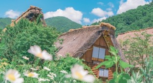 Симпатичные японские сельские пейзажи (26 фото)