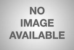 22 шедевральных примера макросъёмки, открывающих взору невидимые вселенные (23 фото)