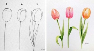 Корейская художница показала, как нарисовать идеальные цветы в 3 простых шага (18 фото)