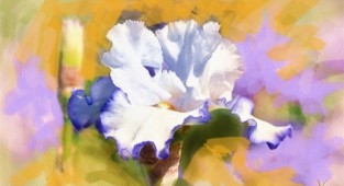 Flowers Alberto Guillen (45 works)