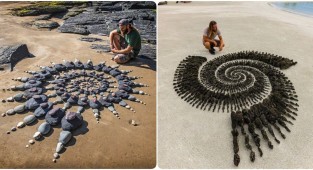 This guy took rock collecting on the beach to a new level (13 photos)