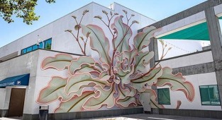 Художник нарисовал потрясающее растение на 6 стенах здания (9 фото)