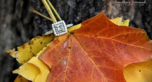40 ideas for photographing wedding rings (40 photos)