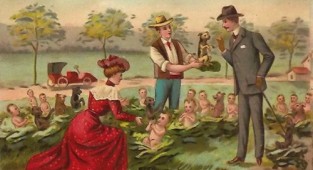 Vintage postcards "Where do babies come from" (11 postcards)