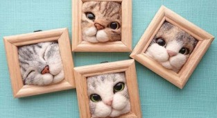 Японка создает забавные кошачьи мордочки, застрявшие в рамках (25 фото)