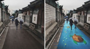 Как корейцы победили хмурость и серость в сезон дождей (5 фото)