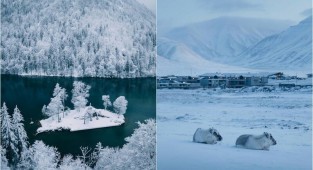 Austria and Norway in winter in photographs by Sebastian Scheichl (26 photos)