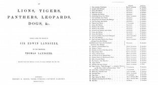 Engravings of lions, tigers, panthers, leopards, dogs, etc. 1853 (40 photos)