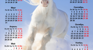 White Horse, maybe a Horse - Calendar 2014