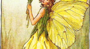 Flower Fairies by Cecile Mary Barker (123 works)
