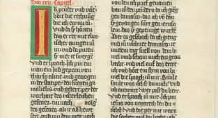 Die Ottheinrich-Bibel (1425 - 1430) (683 зображення)