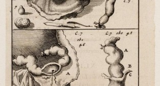 Jan (April 16, 1649, Amsterdam - April 5, 1712, Amsterdam) and Casper (1672-1708) Luyken. Book illustrators. Part 2 (143 работ)