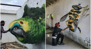 A Portuguese artist paints realistic 3D graffiti all over the world (30 photos)