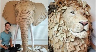 Парень мастерит скульптуры животных из картона и переработанных материалов (23 фото)