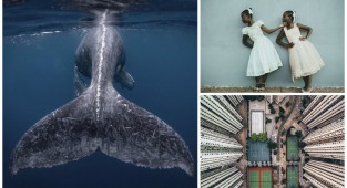 Победители конкурса National Geographic Travel Photographer of the Year 2018 (11 фото)