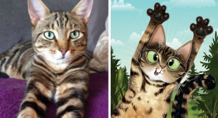 Портрети тварин як відображення їхньої душі (15 фото)