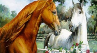 Beautiful pictures of horses (58 works)