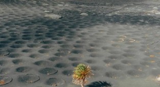 Інопланетні краєвиди острова Лансароте