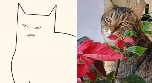 Художник рисует минималистичные рисунки мемных котов (15 фото)