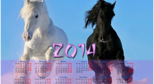 2 Бегущих лошади - Календарь 2014