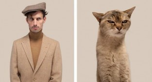 Почти не отличить: фотограф показал, как похожи коты со своими хозяевами (20 фото)