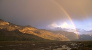 High quality rainbow photos (19 photos)