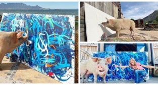 Свинья нарисовала картину, которую продали за рекордную сумму (6 фото + 1 видео)