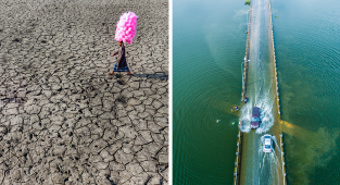 Последствия глобального изменения климата в фотографиях конкурса Agora (26 фото)