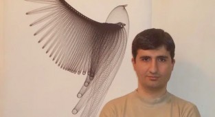 Искусство из формулы (5 фото)