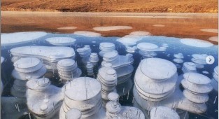 Пузыри метана на Байкале (1 фото)