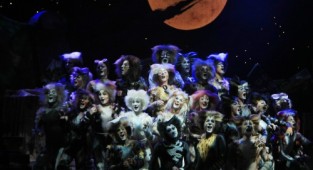 Cats (Broadway Musical) - Photo (24 картинок)