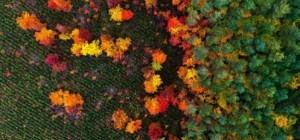 Фотограф, любящий парапланеризм, делает потрясающие кадры без помощи дрона (8 фото)