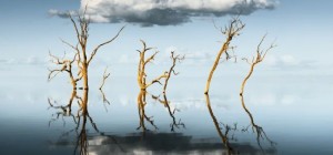 International Landscape Photo Contest 1 (30 photos)