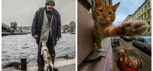 20 fascinating street photos where cats were caught (21 photos)