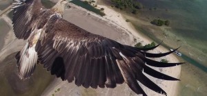 Dronestagram Photo Contest Winners (7 photos)